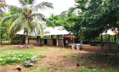 VENDO CASA FINCA EN LORICA CÓRDOBA