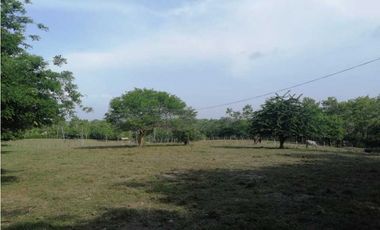 VENDO CASA FINCA EN LORICA CÓRDOBA