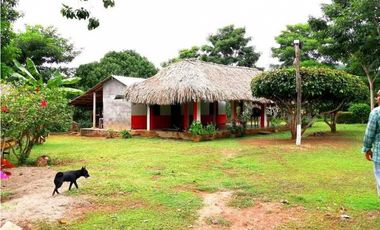 VENDO CASA FINCA EN LORICA CÓRDOBA