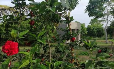 VENDO CASA FINCA EN LORICA CÓRDOBA