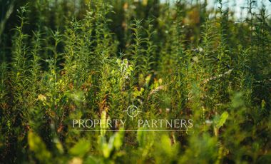Bonitas parcelas cercanas a Las Rastras