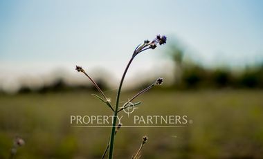 Bonitas parcelas cercanas a Las Rastras