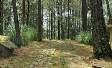 RANCHO EN VENTA EN LOS SAUCOS VALLE DE BRAVO