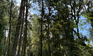 RANCHO EN VENTA EN LOS SAUCOS VALLE DE BRAVO