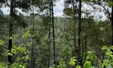RANCHO EN VENTA EN LOS SAUCOS VALLE DE BRAVO