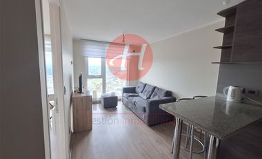 Departamento en Arriendo en Edificio Blanco