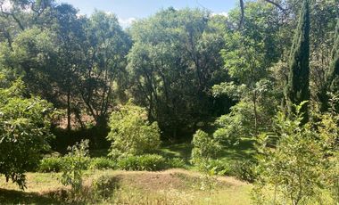 Rancho en Venta con Abundante Agua en Zona Valle de Bravo.