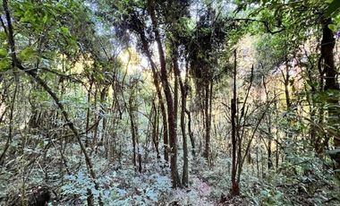 CASA EN RENTA EN EL BOSQUE, VALLE DE BRAVO