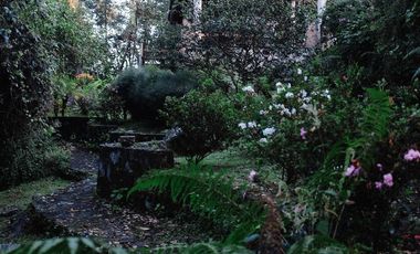 CASA EN RENTA EN EL BOSQUE, VALLE DE BRAVO