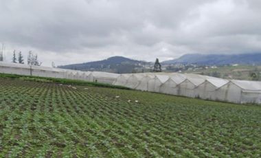 Terreno 5.602 metros totalmente plano en venta