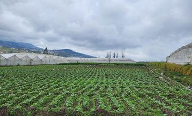 Terreno 5.602 metros totalmente plano en venta