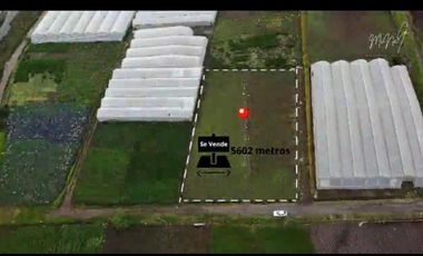 Terreno 5.602 metros totalmente plano en venta