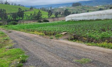 Terreno 5.602 metros totalmente plano en venta