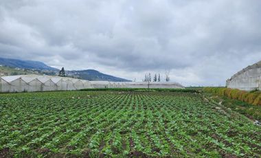 Terreno 5.602 metros totalmente plano en venta