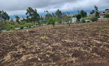 Terreno 5.602 metros totalmente plano en venta