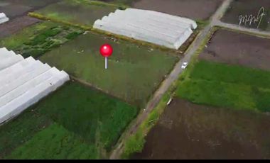 Terreno 5.602 metros totalmente plano en venta