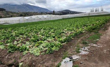 Terreno 5.602 metros totalmente plano en venta