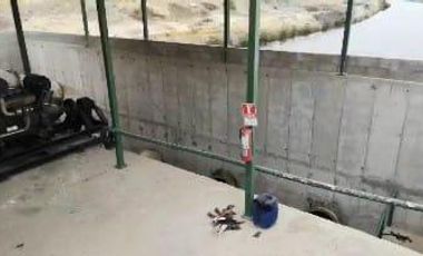 Camaronera en venta El Morro Guayas