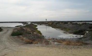 Camaronera en venta El Morro Guayas