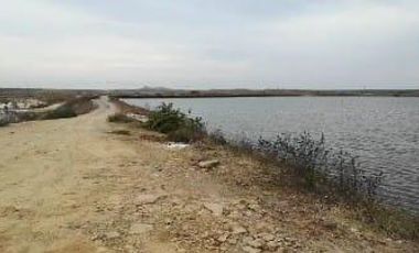 Camaronera en venta El Morro Guayas