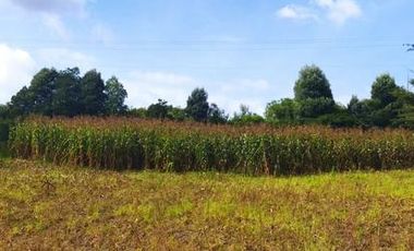 Vendo terreno campestre, en urbanización privada, Norte de Guayllabamba