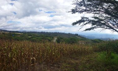 Vendo terreno campestre, en urbanización privada, Norte de Guayllabamba