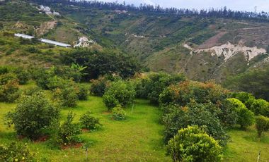 Vendo terreno campestre, en urbanización privada, Norte de Guayllabamba