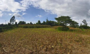Vendo terreno campestre, en urbanización privada, Norte de Guayllabamba