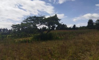 Vendo terreno campestre, en urbanización privada, Norte de Guayllabamba
