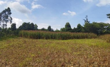 Vendo terreno campestre, en urbanización privada, Norte de Guayllabamba