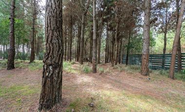 CASA, VENTA, COSTA ESMERALDA, SENDEROS IV, LOTE AL 400