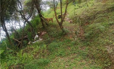 Finca de 3.216 m2 en Santa Bárbara Antioquia Colombia