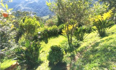 Finca de 3.216 m2 en Santa Bárbara Antioquia Colombia