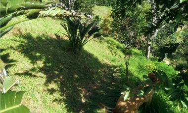 Finca de 3.216 m2 en Santa Bárbara Antioquia Colombia