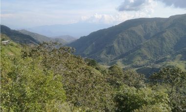 Finca de 3.216 m2 en Santa Bárbara Antioquia Colombia
