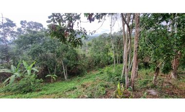 SIEB 191 FINCA EN CACHIPAY CUNDINAMARCA