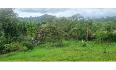 SIEB 191 FINCA EN CACHIPAY CUNDINAMARCA