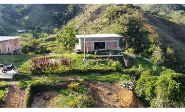 Venta de Finca en San Roque