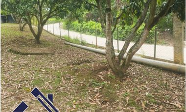 Sieb 185. Casa lote en venta- La Mesa Cundinamarca