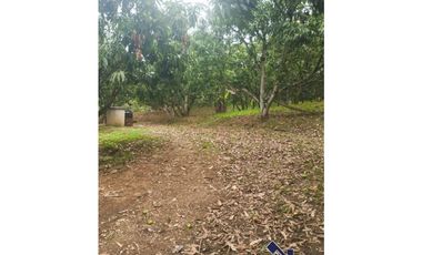 Sieb 185. Casa lote en venta- La Mesa Cundinamarca