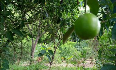 SIEB 162 Lote para construir casa campestre