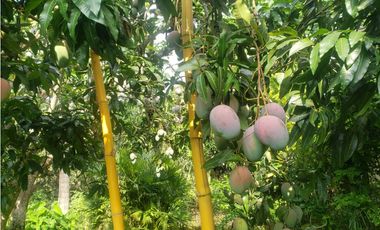 SIEB 162 Lote para construir casa campestre