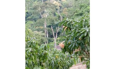 SIEB 162 Lote para construir casa campestre