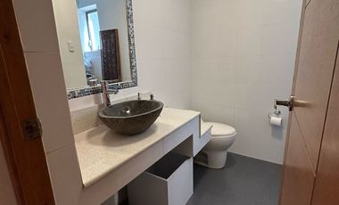 CAMINO LOS PALQUIS, CAMINO A FARELLONES