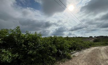 LOTE DE TERRENO BALNEARIO DE AYANGUE- COLONCHE-SANTA ELENA