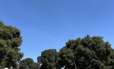 Gran Terreno en Venta en Tecate, Baja California (PRECIO NEGOCIABLE)