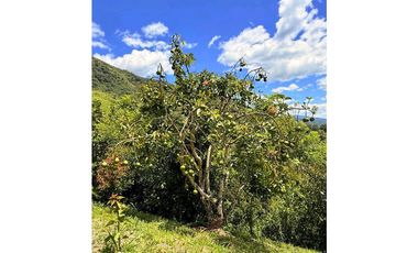 Venta Finca Campestre Barbosa, Vereda Tamborcito