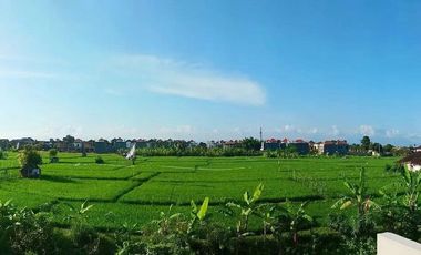 Turun Harga! Rumah Djayanta Residence Ricefield View