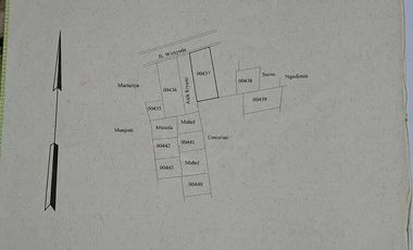 Tanah kering di tengah kota purbalingga