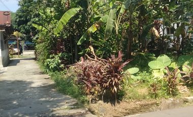 Tanah kering di tengah kota purbalingga